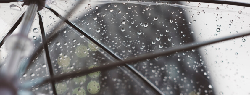 Commercial Umbrella Insurance Albany, OR